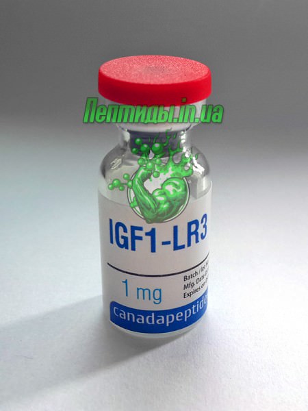 IGF-1 Long R3